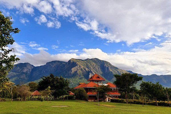 Image hover effect image