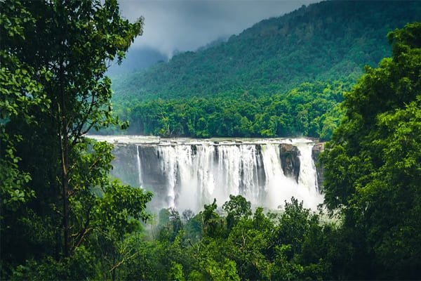 Image hover effect image