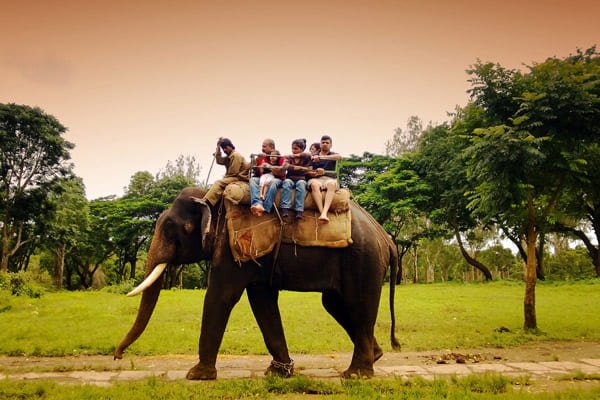 Image hover effect image